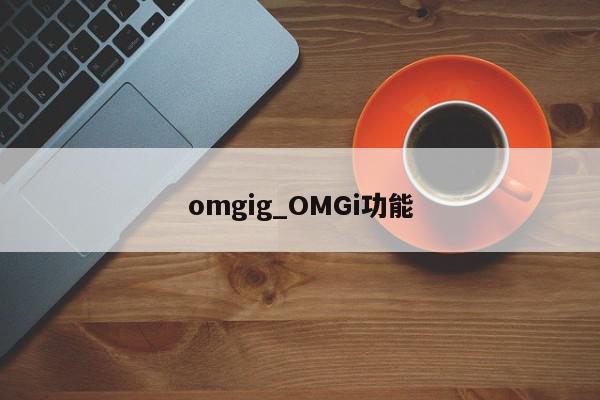 omgig_OMGi功能